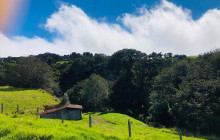 Greenway Nature Tours2669