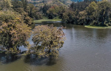 Greenway Nature Tours2705