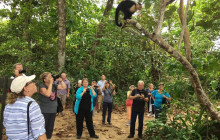 Greenway Nature Tours2732