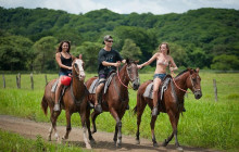 Greenway Nature Tours2733