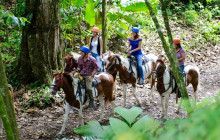 Greenway Nature Tours2735