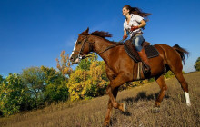 Greenway Nature Tours2741