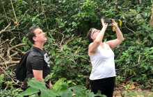 Greenway Nature Tours2756