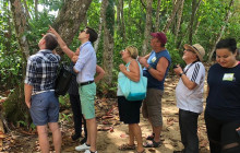 Greenway Nature Tours2812