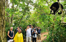 Greenway Nature Tours2818