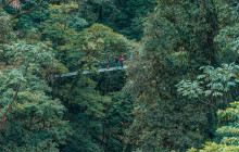 Greenway Nature Tours2825