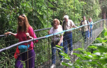 Greenway Nature Tours2827