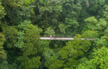 Greenway Nature Tours2834
