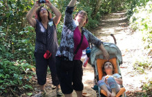 Greenway Nature Tours2853