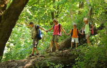 Greenway Nature Tours2854