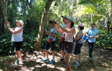 Greenway Nature Tours2857