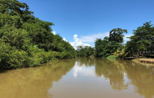 Greenway Nature Tours2859