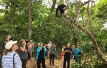 Greenway Nature Tours2861