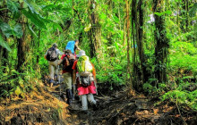 Greenway Nature Tours2866