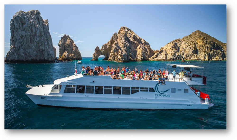 Wild Cabo Tours