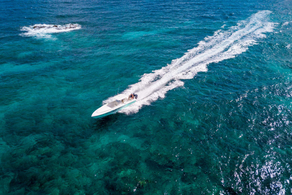 Montego Bay Half Day Powerboat Adventure From Montego Bay