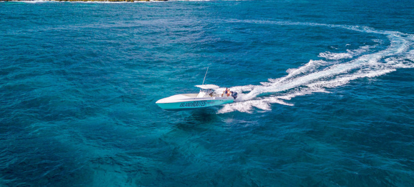 Ocho Rios Half Day Snorkeling & Powerboat Adventure