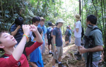 Greenway Nature Tours2894