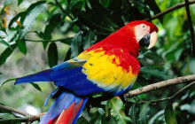 Greenway Nature Tours2923