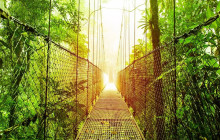 Greenway Nature Tours2926