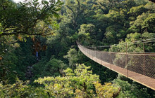 Greenway Nature Tours2937