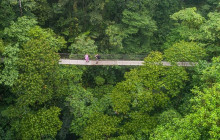 Greenway Nature Tours2939
