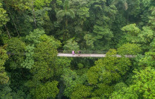 Greenway Nature Tours2943