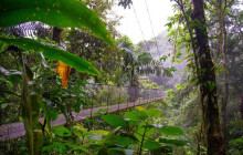 Greenway Nature Tours2946