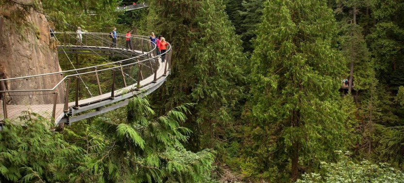 Grouse Mountain + Capilano Suspension Bridge Park Tour