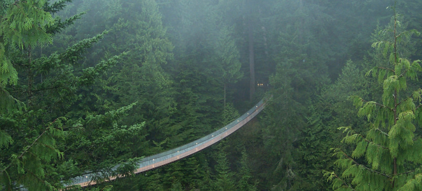 Grouse Mountain + Capilano Suspension Bridge Park Tour