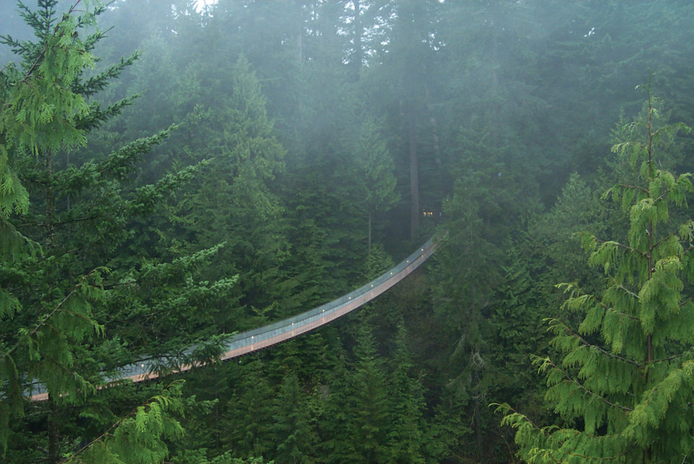 Grouse Mountain + Capilano Suspension Bridge Park Tour Vancouver