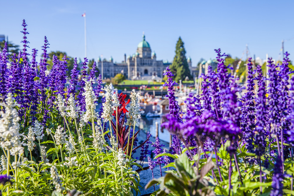 victoria and butchart gardens tour from vancouver