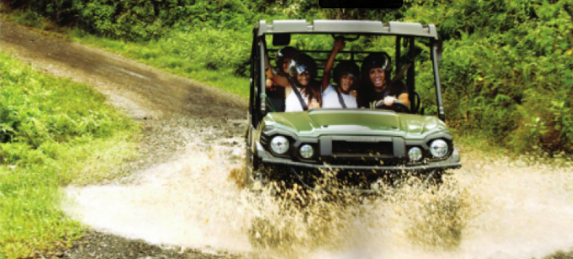 Jungle Buggies + Zipline Adventure