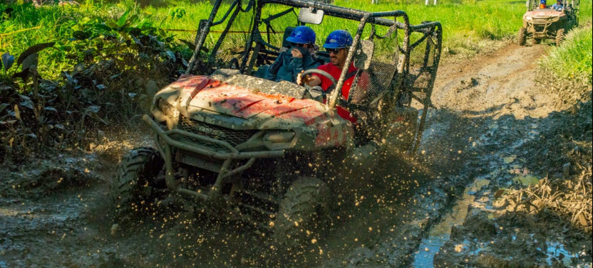 Jungle Buggies + Zipline Adventure