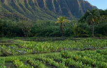 Kualoa Ranch Hawaii28