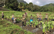 Kualoa Ranch Hawaii29