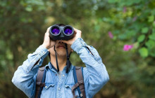 Greenway Nature Tours3027