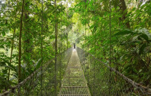 Greenway Nature Tours3030