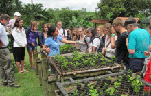 Greenway Nature Tours3053