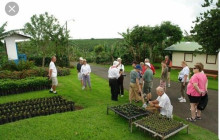 Greenway Nature Tours3054