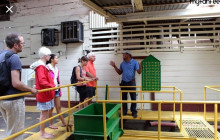 Greenway Nature Tours3058