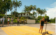 Greenway Nature Tours3059