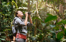 Greenway Nature Tours3063