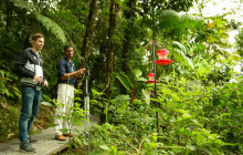 Greenway Nature Tours3067