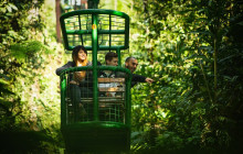Greenway Nature Tours3075