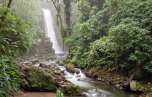 Greenway Nature Tours3086