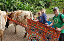 Greenway Nature Tours3092