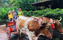 Greenway Nature Tours3093
