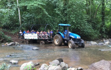 Greenway Nature Tours3095