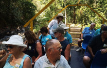 Greenway Nature Tours3100